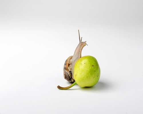 How to dye viscose at home?